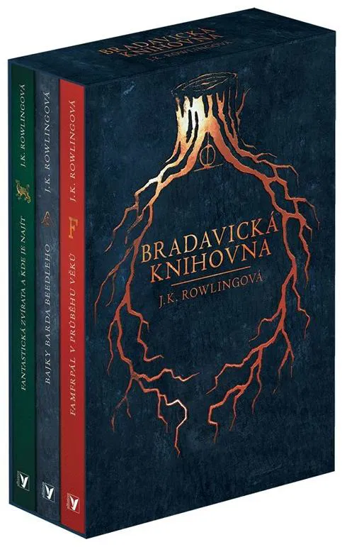 Vánoční přání pro Martina 13 let, Děčín