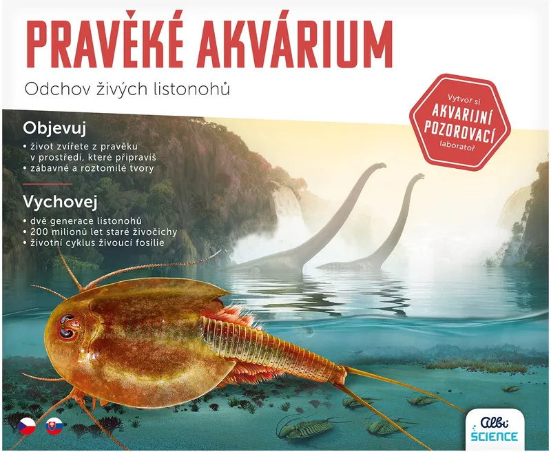 Vánoční přání pro Toníka 9 let, Protivín